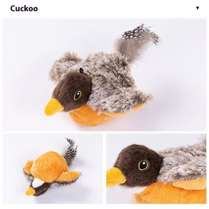 Pet Supplies
